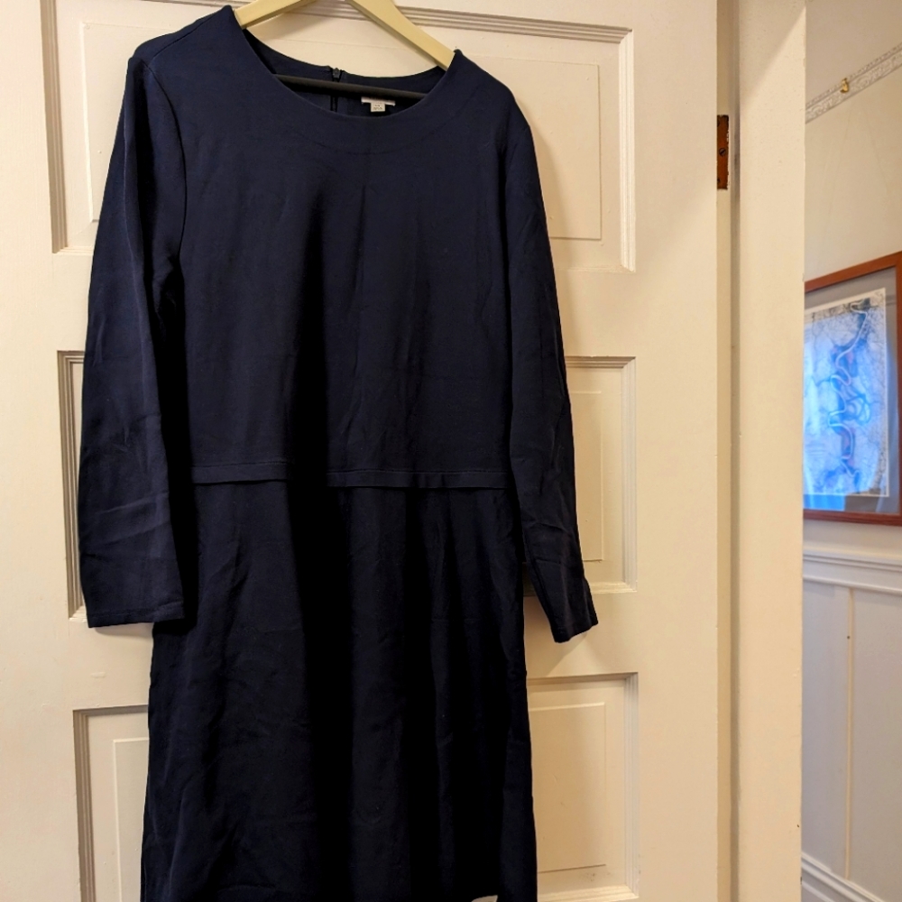 Cuyana fit and flat dress in navy